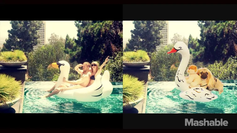 PASJI ŽIVOT: Evo kako je biti u koži Taylor Swift