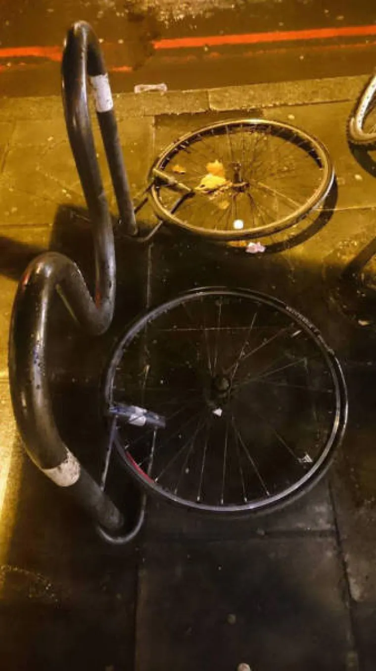 Njihov dan je upropašten, ali su se slikali kako bi oraspoložili druge
