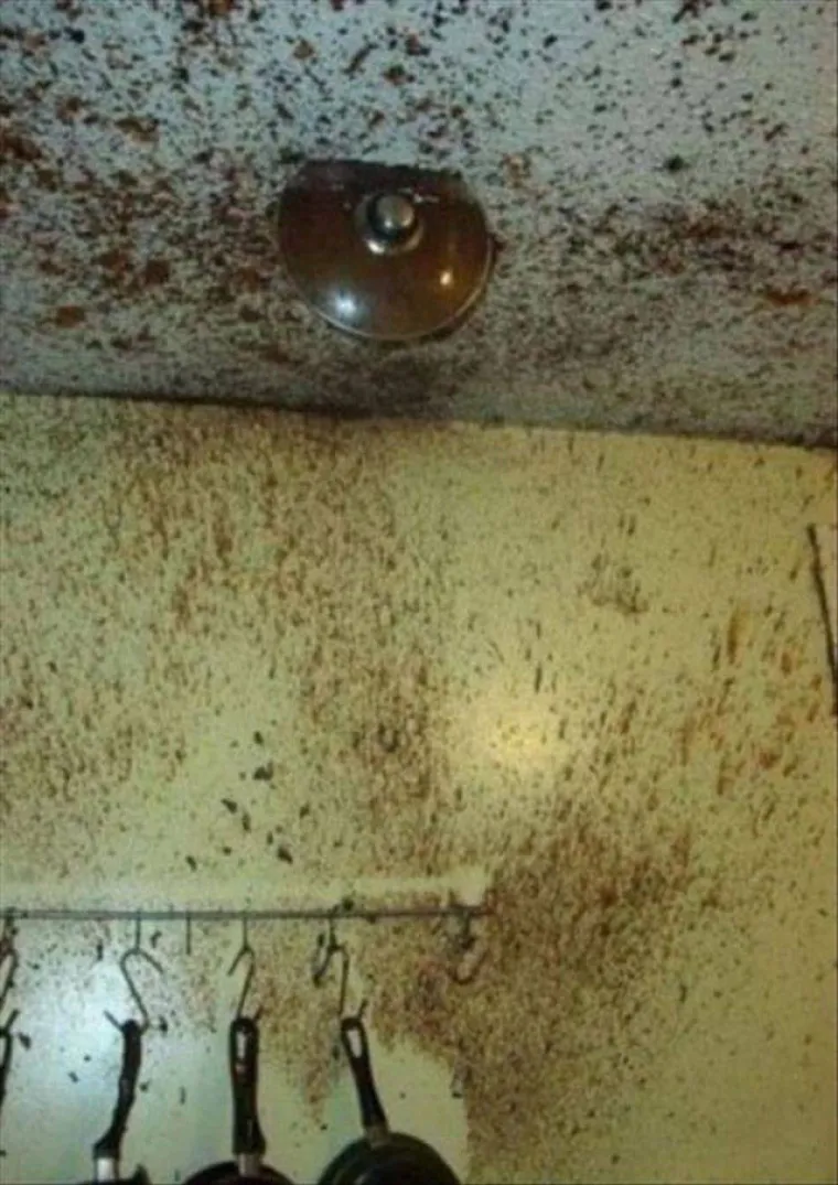 Njihov dan je upropa&scaron;ten, ali su se slikali kako bi oraspoložili druge