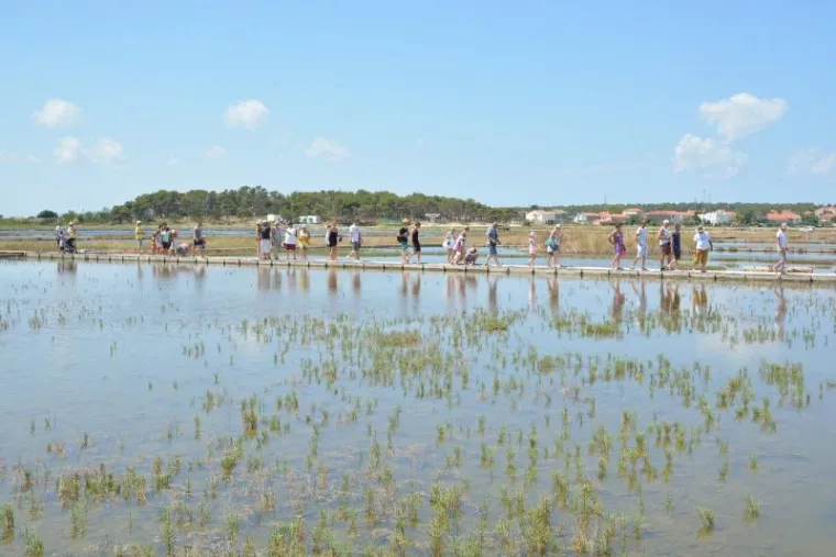 U povijesnom gradiću Ninu pokraj Zadra nalazi se nadaleko poznata i jedna od najstarijih hrvatskih solana. Pod geslom "Priča o soli..." u četvrtak je održan dan otvorenih vrata solane pa su se posjetitelji sami mogli upoznati s nastankom najrasprostranjenijeg i najvažnijeg kuharskog začina.