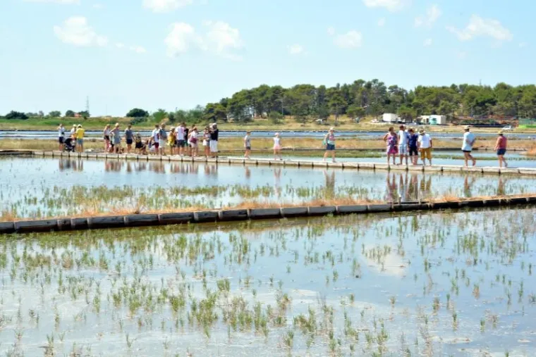 U povijesnom gradiću Ninu pokraj Zadra nalazi se nadaleko poznata i jedna od najstarijih hrvatskih solana. Pod geslom "Priča o soli..." u četvrtak je održan dan otvorenih vrata solane pa su se posjetitelji sami mogli upoznati s nastankom najrasprostranjenijeg i najvažnijeg kuharskog začina.