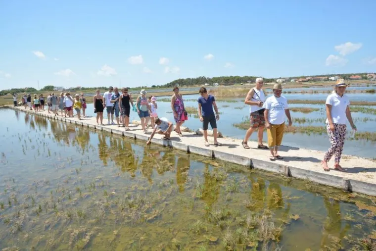 U povijesnom gradiću Ninu pokraj Zadra nalazi se nadaleko poznata i jedna od najstarijih hrvatskih solana. Pod geslom "Priča o soli..." u četvrtak je održan dan otvorenih vrata solane pa su se posjetitelji sami mogli upoznati s nastankom najrasprostranjenijeg i najvažnijeg kuharskog začina.