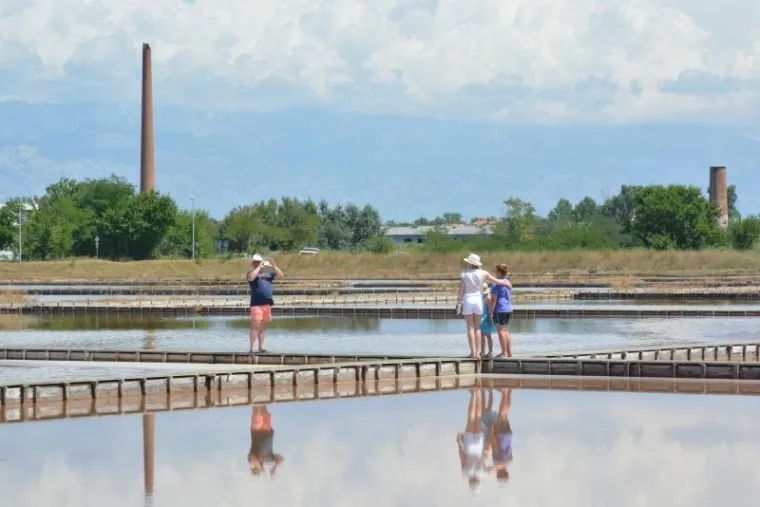 U povijesnom gradiću Ninu pokraj Zadra nalazi se nadaleko poznata i jedna od najstarijih hrvatskih solana. Pod geslom "Priča o soli..." u četvrtak je održan dan otvorenih vrata solane pa su se posjetitelji sami mogli upoznati s nastankom najrasprostranjenijeg i najvažnijeg kuharskog začina.
