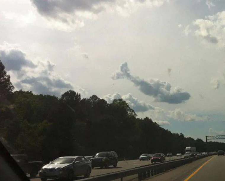 Moby Dick!