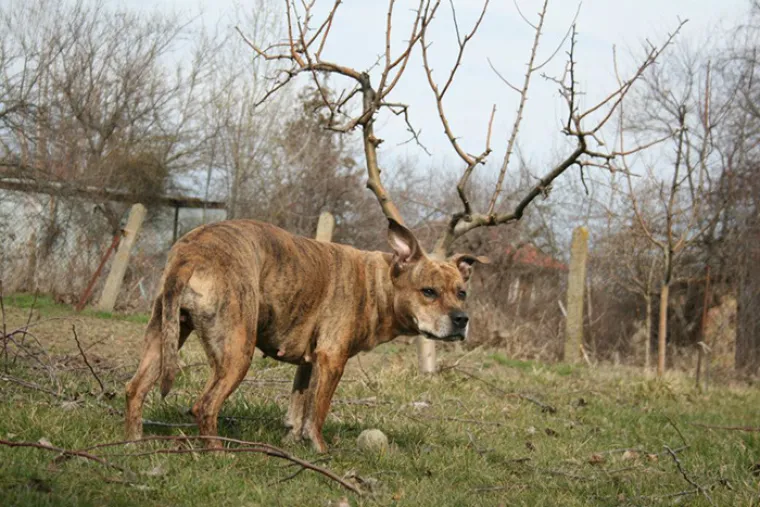 Što je to mami ispalo iz gaća? Slike koje trebate dvaput pogledati da biste otkrili istinu