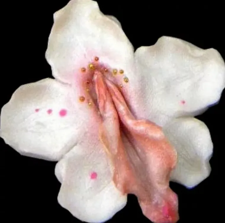 VAGINE U DIVLJINI! Pogledajte na kakve se sve prizore može naići u prirodi i društvu