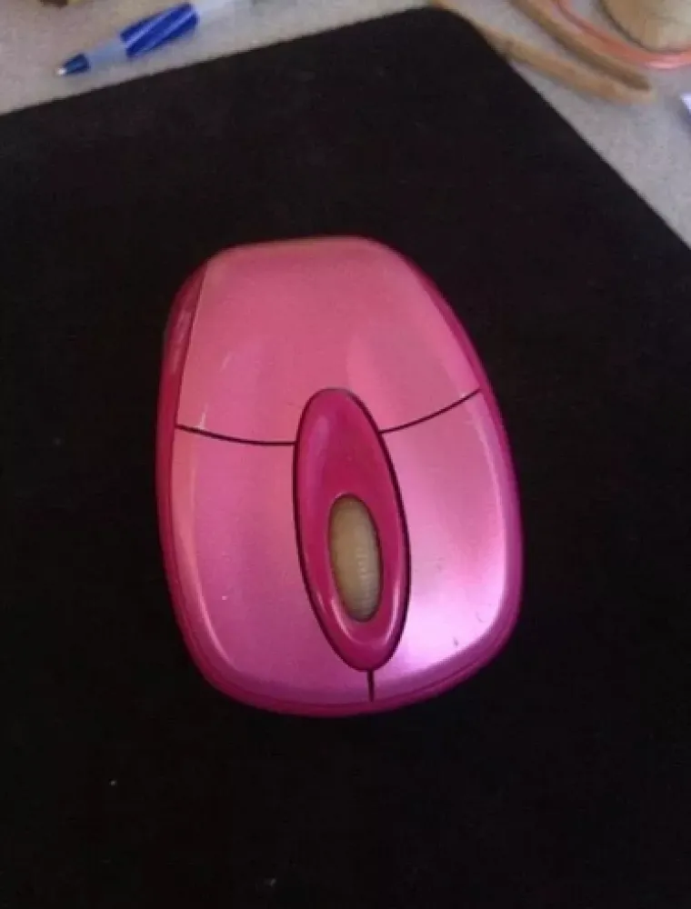 VAGINE U DIVLJINI! Pogledajte na kakve se sve prizore može naići u prirodi i društvu