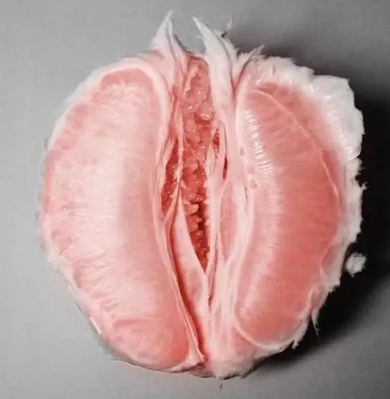 VAGINE U DIVLJINI! Pogledajte na kakve se sve prizore može naići u prirodi i dru&scaron;tvu