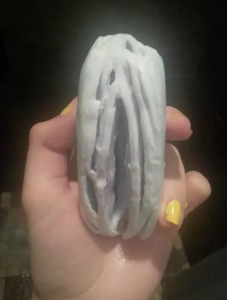 VAGINE U DIVLJINI! Pogledajte na kakve se sve prizore može naići u prirodi i dru&scaron;tvu