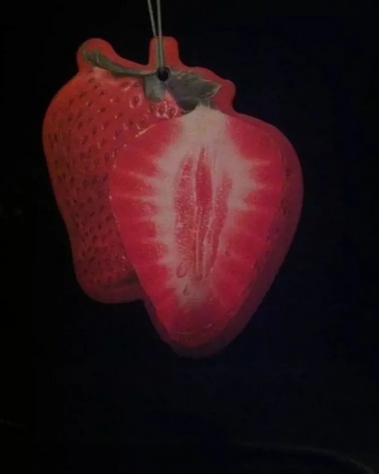 VAGINE U DIVLJINI! Pogledajte na kakve se sve prizore može naići u prirodi i dru&scaron;tvu