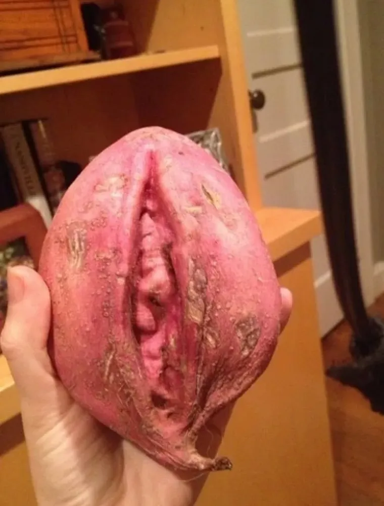 VAGINE U DIVLJINI! Pogledajte na kakve se sve prizore može naići u prirodi i dru&scaron;tvu