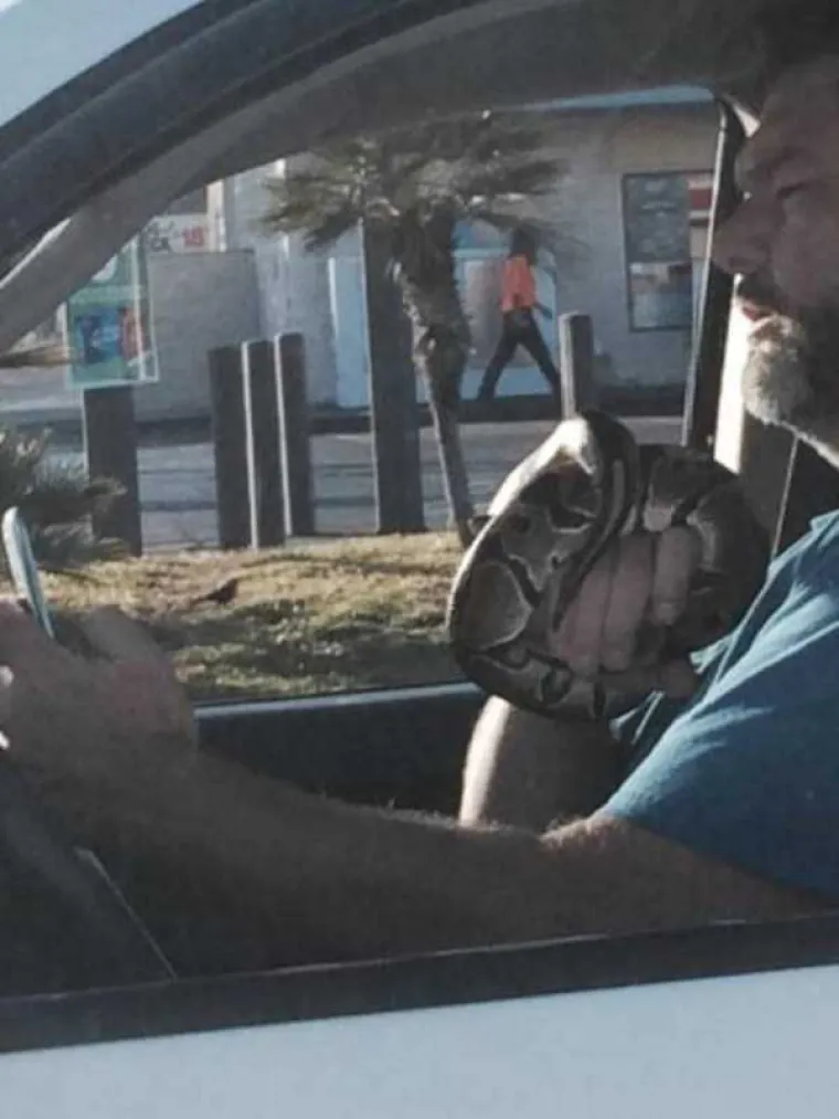 LUDE SLIKE: Čudne pojave koje se mogu vidjeti na cestama