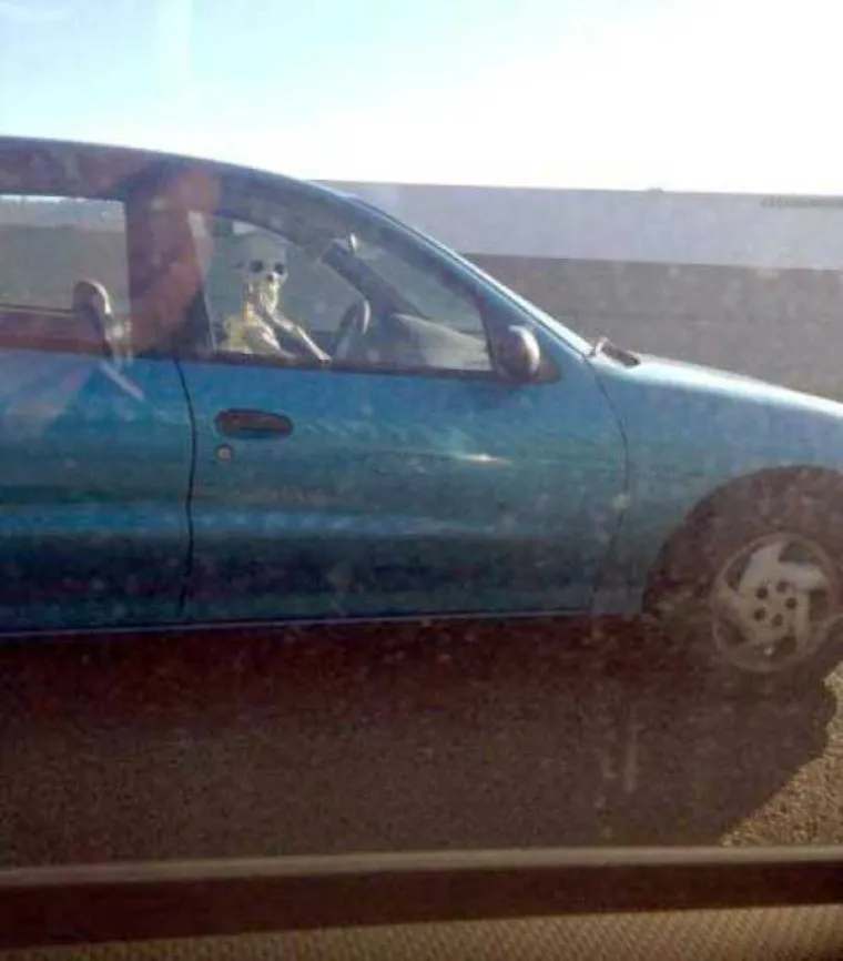 LUDE SLIKE: Čudne pojave koje se mogu vidjeti na cestama