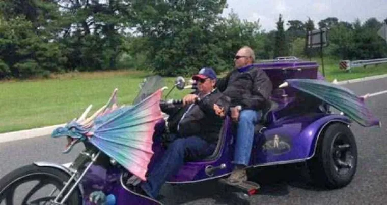 LUDE SLIKE: Čudne pojave koje se mogu vidjeti na cestama