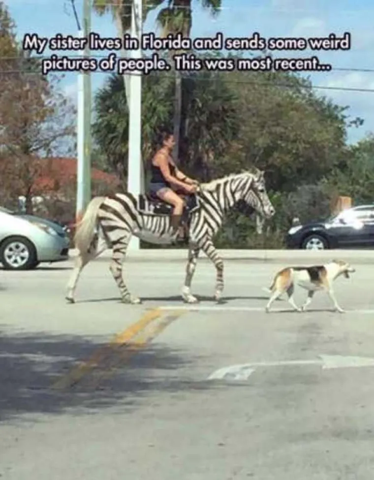 LUDE SLIKE: Čudne pojave koje se mogu vidjeti na cestama