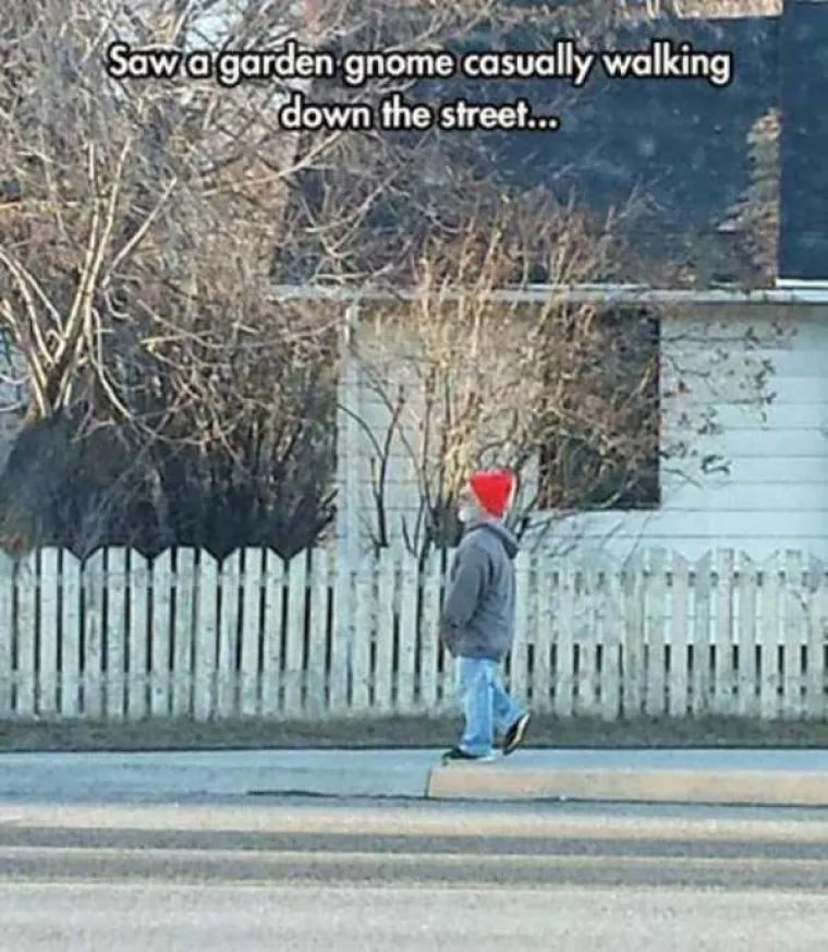 LUDE SLIKE: Čudne pojave koje se mogu vidjeti na cestama