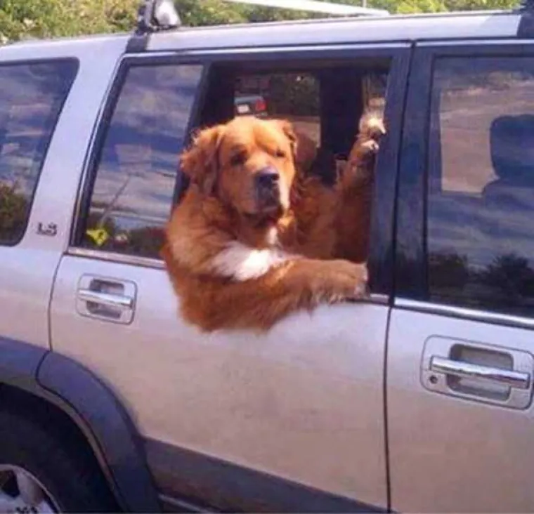 LUDE SLIKE: Čudne pojave koje se mogu vidjeti na cestama