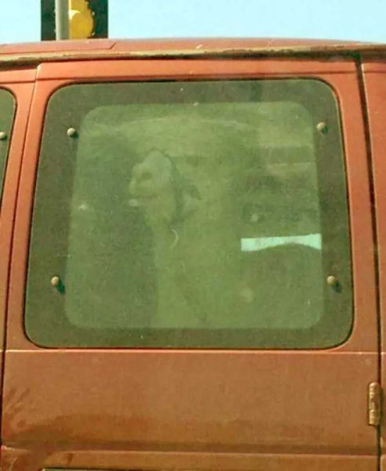 LUDE SLIKE: Čudne pojave koje se mogu vidjeti na cestama