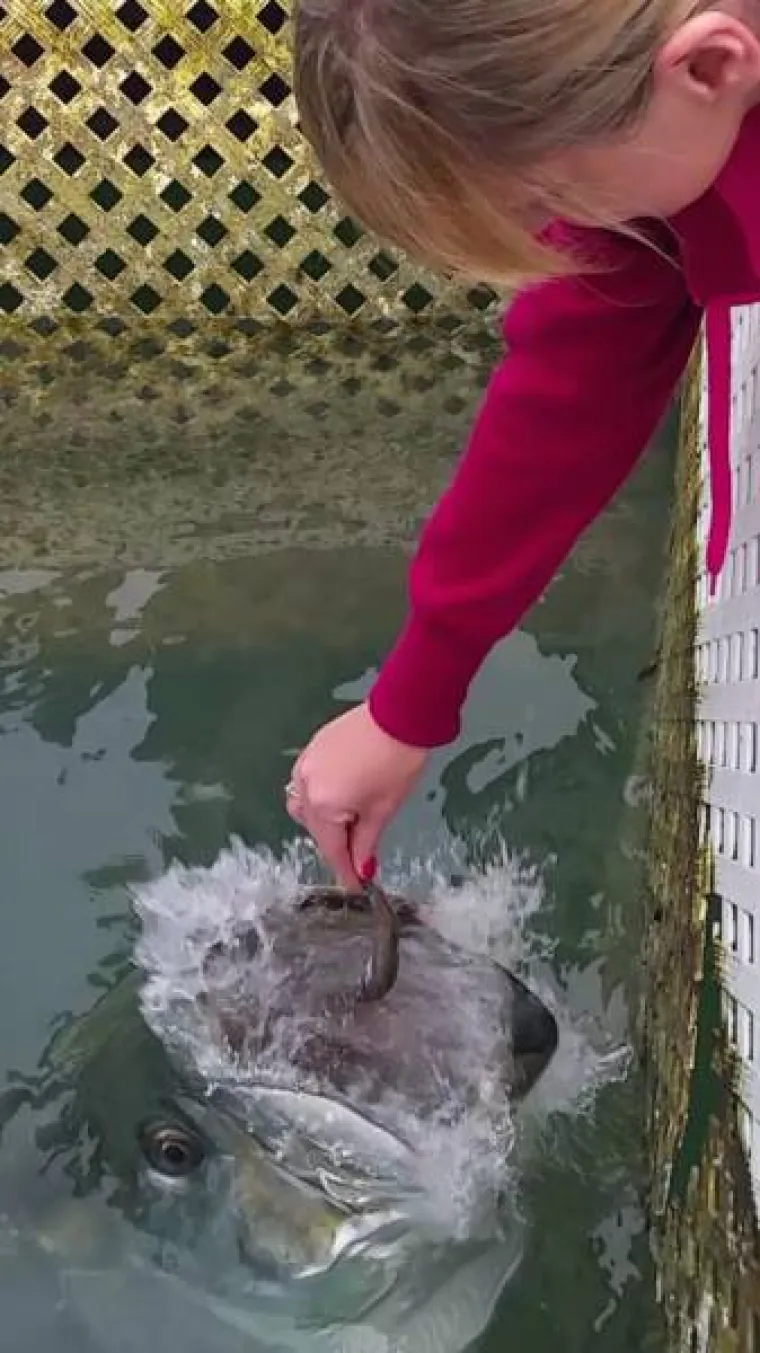 Uslikali trenutak prije događaja koji će ih trajno obilježiti