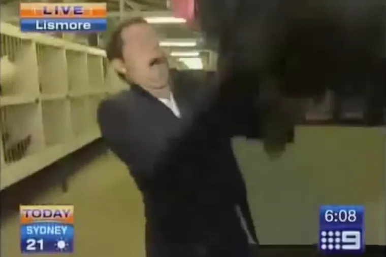 KAD ŽIVINE POLUDE: Životinje i televizija uživo nisu ba&scaron; pametna kombinacija