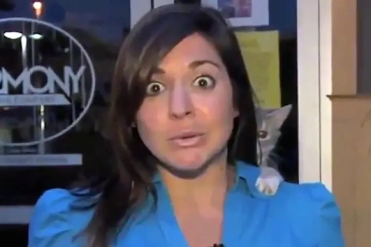 KAD ŽIVINE POLUDE: Životinje i televizija uživo nisu ba&scaron; pametna kombinacija