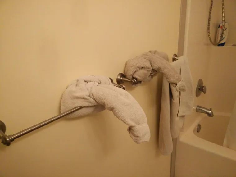 Nikada ne biste pomislili od čega se sve može napraviti penis...