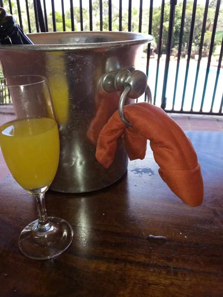 Nikada ne biste pomislili od čega se sve može napraviti penis...