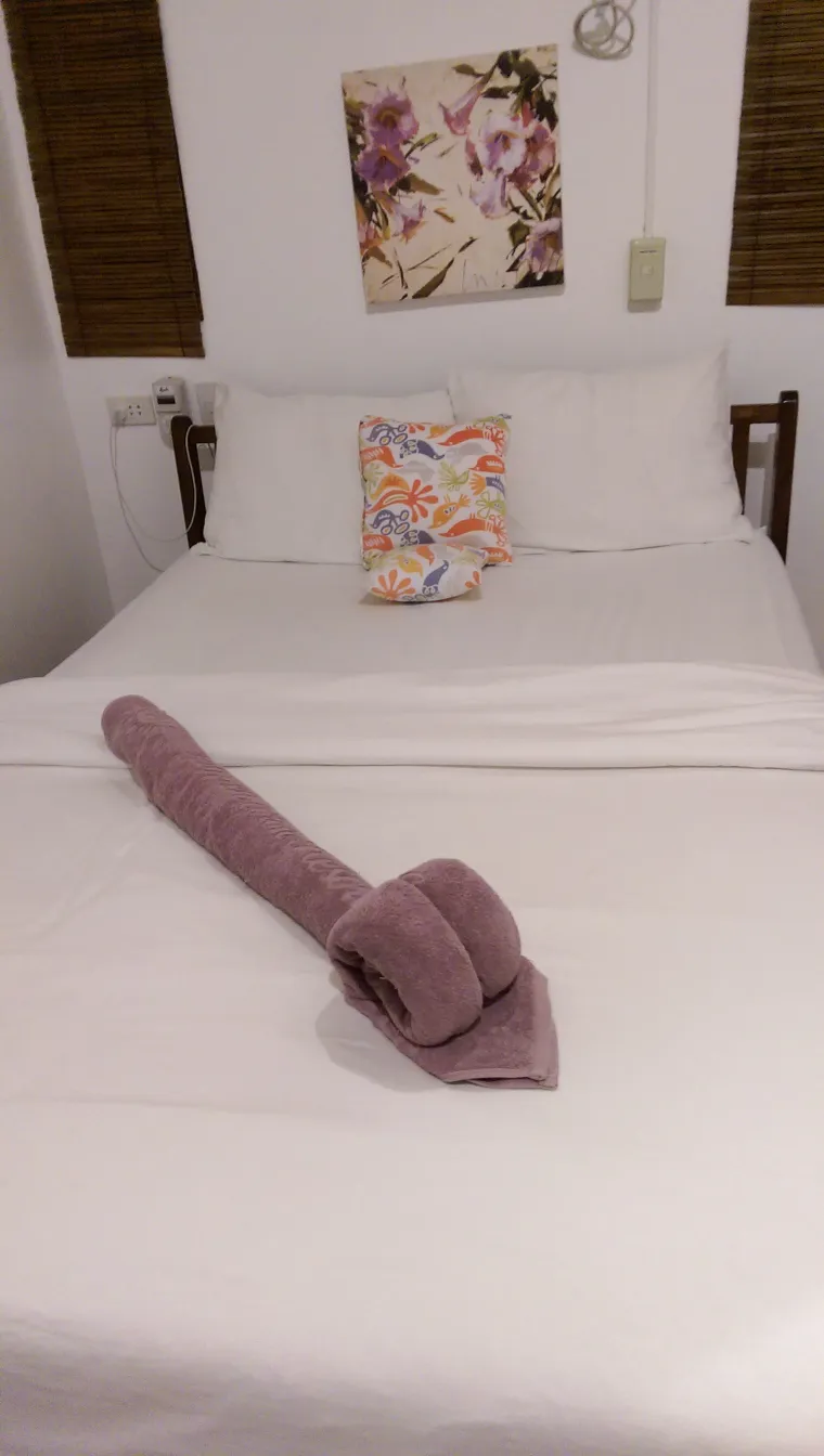 Nikada ne biste pomislili od čega se sve može napraviti penis...