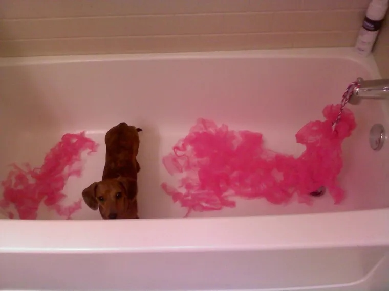 Samo sam se kupao. Kunem se.