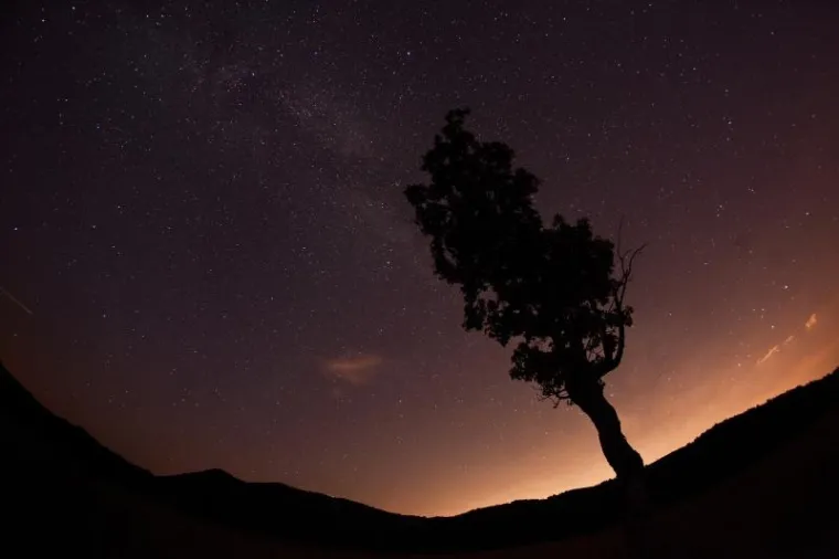 Perzeidi, poznati i kao Suze Svetog Lovre su jedan od najljepših i najaktivnijih pljuskova meteora tijekom godine. Na nebu se mogu vidjeti već ovih noći, a vrhunac aktivnosti očekuje se u satima pred svitanje 13. kolovoza.  Meteori su zaostali za kometom Swift-Tuttle koji kroz Sunčev sustav prolazi svake 133 godine.  Zemlja svake godine između  25. srpnja i 20. kolovoza prolazi kroz taj trag.