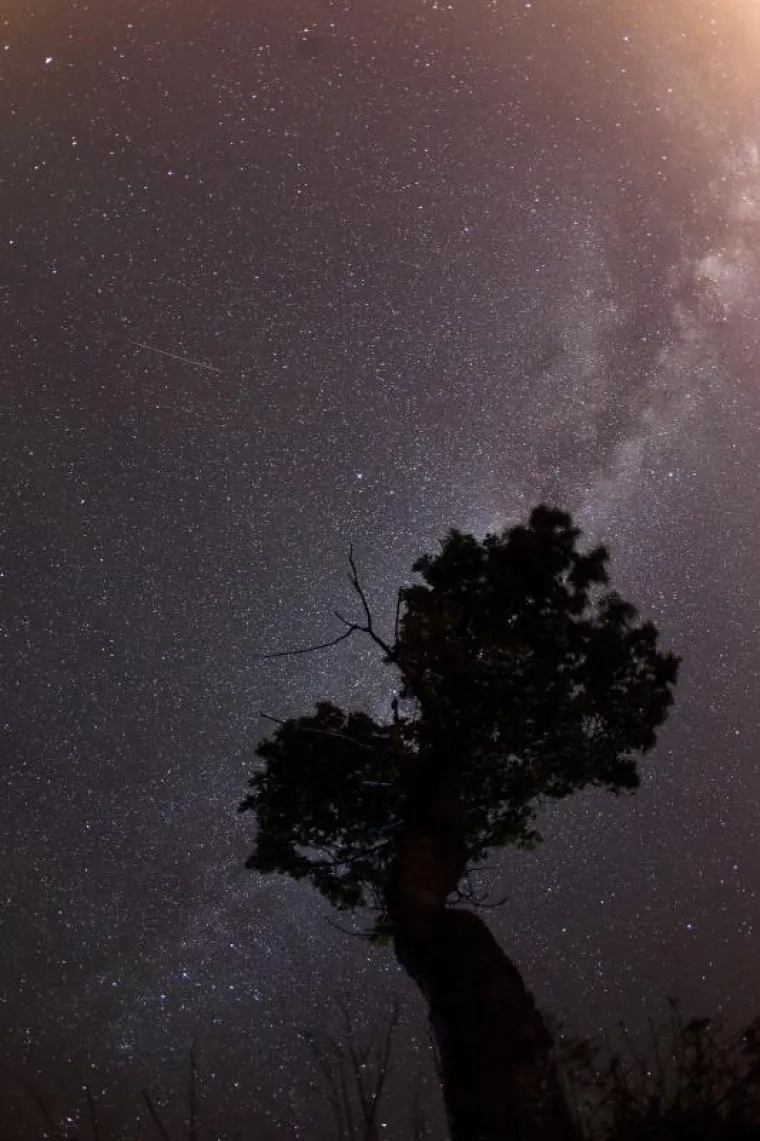 Perzeidi, poznati i kao Suze Svetog Lovre su jedan od najljepših i najaktivnijih pljuskova meteora tijekom godine. Na nebu se mogu vidjeti već ovih noći, a vrhunac aktivnosti očekuje se u satima pred svitanje 13. kolovoza.  Meteori su zaostali za kometom Swift-Tuttle koji kroz Sunčev sustav prolazi svake 133 godine.  Zemlja svake godine između  25. srpnja i 20. kolovoza prolazi kroz taj trag.