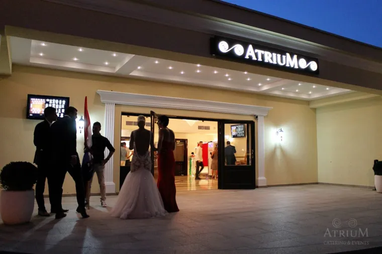 Svadba Antonije Mi&scaron;ure i Marka Sandrića