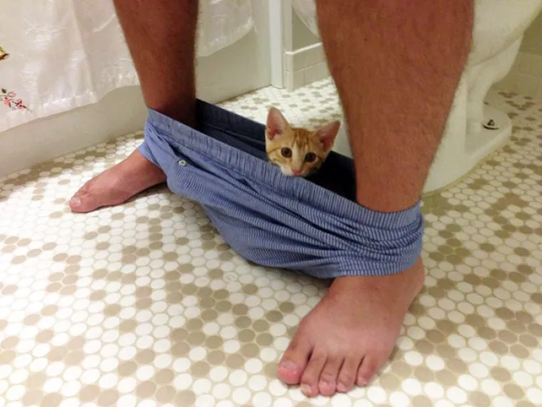 KOJI PERVERZNJACI! Uvući će vam se u gaće, gledati vas dok ste na toaletu, u kadi...