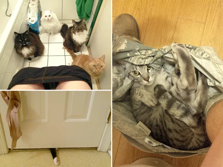 KOJI PERVERZNJACI! Uvući će vam se u gaće, gledati vas dok ste na toaletu, u kadi...