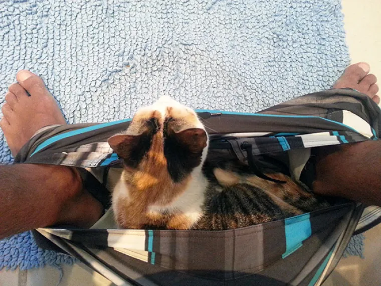 KOJI PERVERZNJACI! Uvući će vam se u gaće, gledati vas dok ste na toaletu, u kadi...