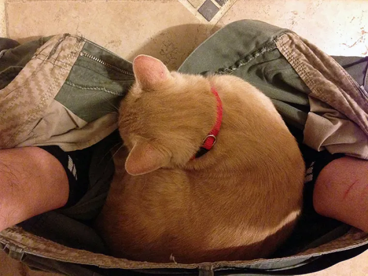 KOJI PERVERZNJACI! Uvući će vam se u gaće, gledati vas dok ste na toaletu, u kadi...