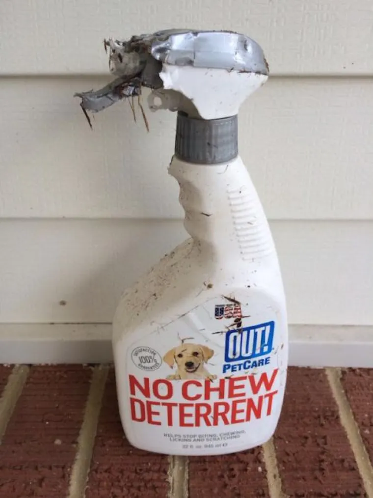 NE, NE I NE! Ljudi, to se tako ne radi, sve radite naopako!