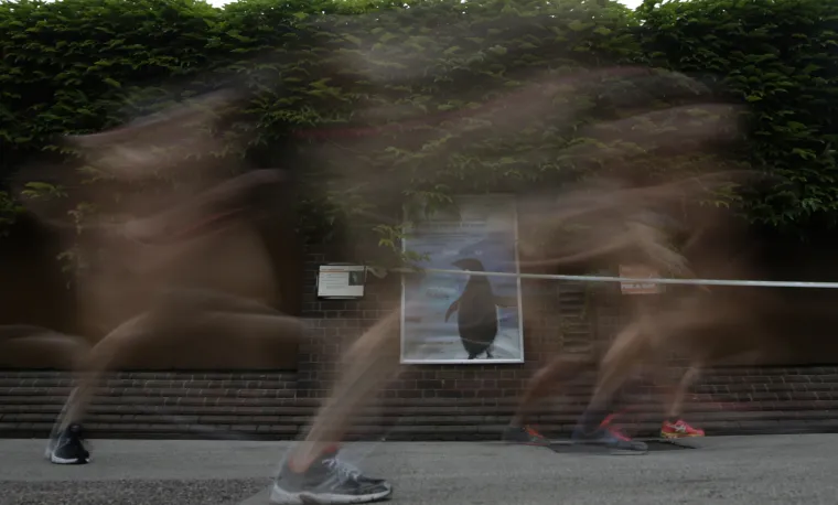 Skinuli se do gola i trčali londonskim zoolo&scaron;kim vrtom u plemenite svrhe