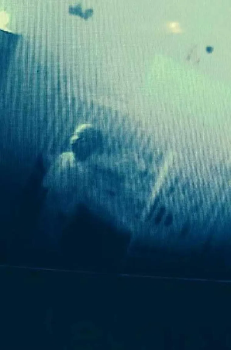 Jezivi prizori koji već godinama stra&scaron;e ljude diljem svijeta, nisu za one osjetljive