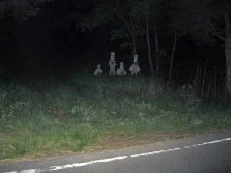 Jezivi prizori koji već godinama stra&scaron;e ljude diljem svijeta, nisu za one osjetljive