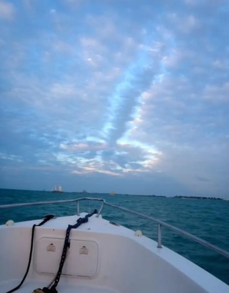 OD SITNIH DO GIGANTSKIH: Nebo je prepuno penisa, samo treba podignuti pogled