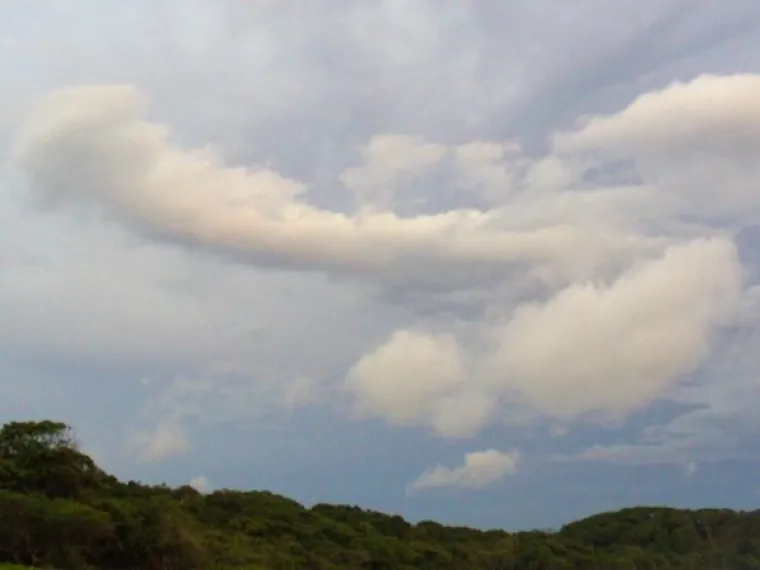 OD SITNIH DO GIGANTSKIH: Nebo je prepuno penisa, samo treba podignuti pogled