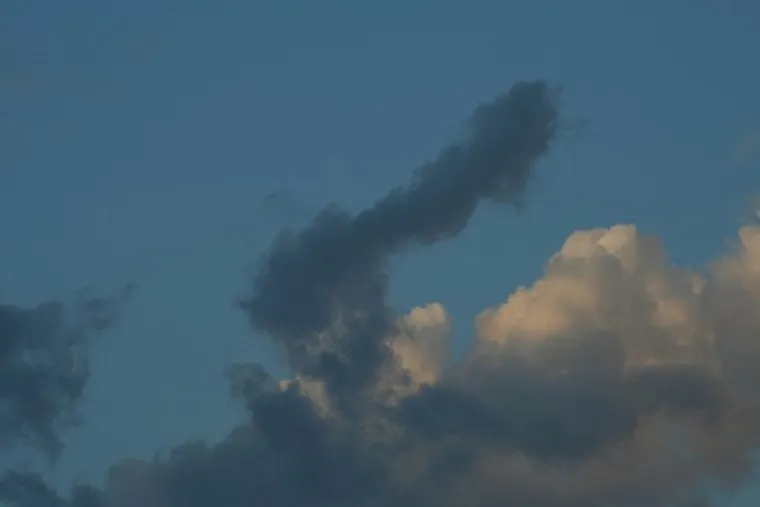 OD SITNIH DO GIGANTSKIH: Nebo je prepuno penisa, samo treba podignuti pogled