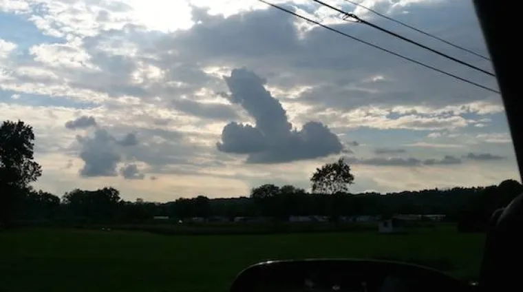 OD SITNIH DO GIGANTSKIH: Nebo je prepuno penisa, samo treba podignuti pogled