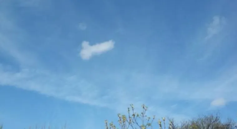 OD SITNIH DO GIGANTSKIH: Nebo je prepuno penisa, samo treba podignuti pogled