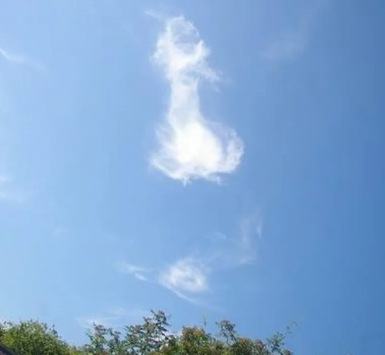 OD SITNIH DO GIGANTSKIH: Nebo je prepuno penisa, samo treba podignuti pogled