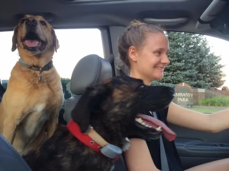 VAU, ČOVJEČE! Nitko ne uživa u vožnji poput ovih pasa