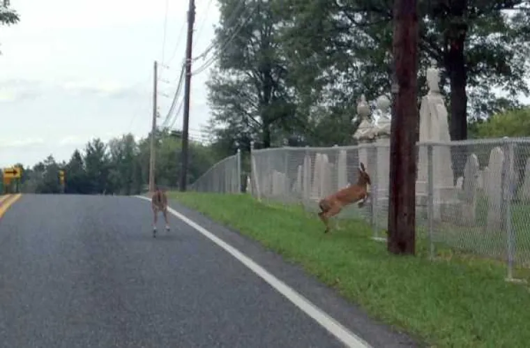 Kako dobiti izvrsnu fotografiju? Jedan od uvjeta je i dobar tajming, a na ovim fotkama je on apsolutno savr&scaron;en. Desetinku kasnije, fotke bi bile sasvim obične.