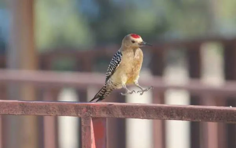 Kako dobiti izvrsnu fotografiju? Jedan od uvjeta je i dobar tajming, a na ovim fotkama je on apsolutno savr&scaron;en. Desetinku kasnije, fotke bi bile sasvim obične.