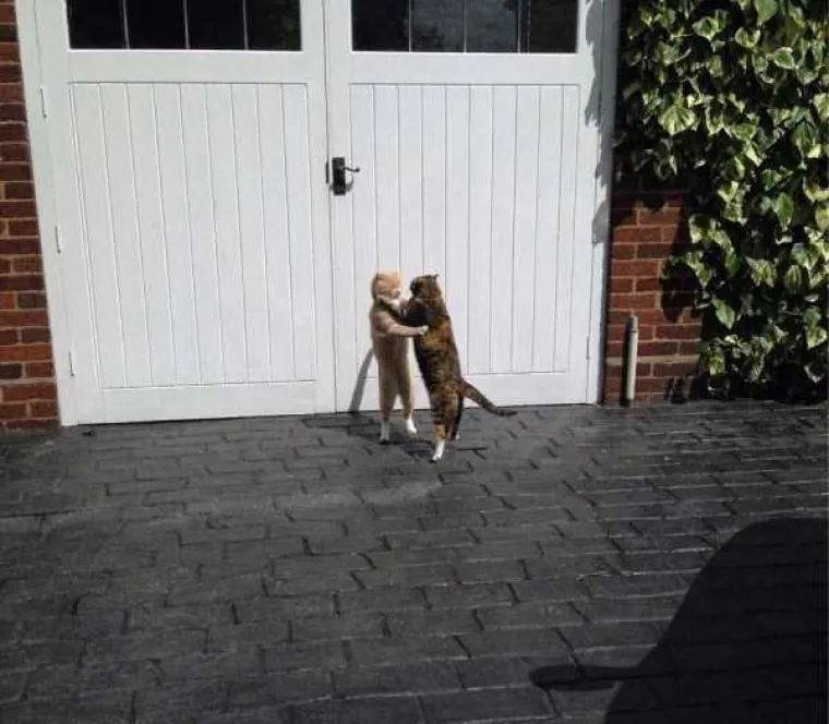 Kako dobiti izvrsnu fotografiju? Jedan od uvjeta je i dobar tajming, a na ovim fotkama je on apsolutno savr&scaron;en. Desetinku kasnije, fotke bi bile sasvim obične.